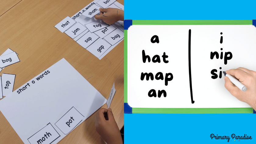 a short o and short a word sort with word cards and an image of a mini white board with words sorted by short a and short i sounds