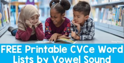 CVCe Long Vowel Word Family Free Printable Word Lists