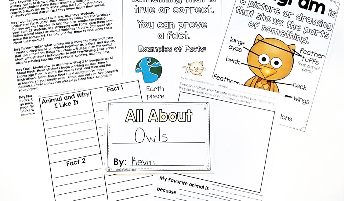 Writing instruction in lower elementary can be a frustrating experience for teachers and students. Learn how to take the guesswork out of writing instruction in your Kindergarten, First, and Second Grade classroom.