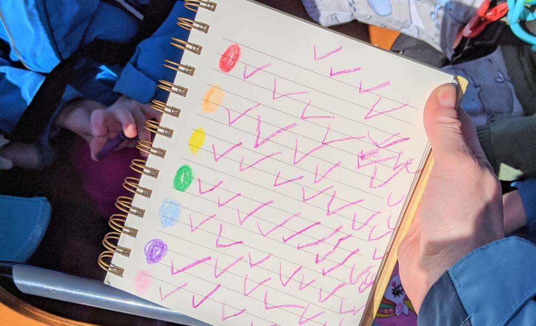 a hand holding a notebook: there are colored circles on the left with check marks next to them