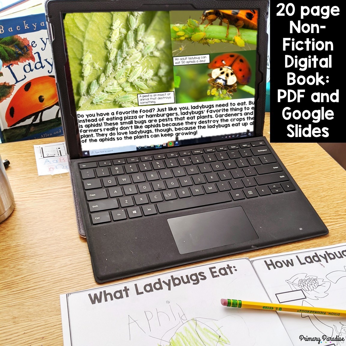 Ladybug Informational Unit Distance Learning Digital And Print